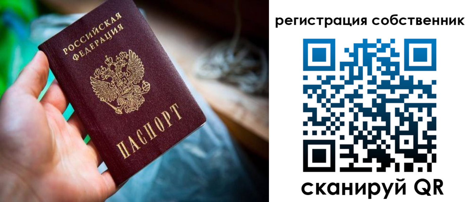 прописка гарантия в Сорочинске